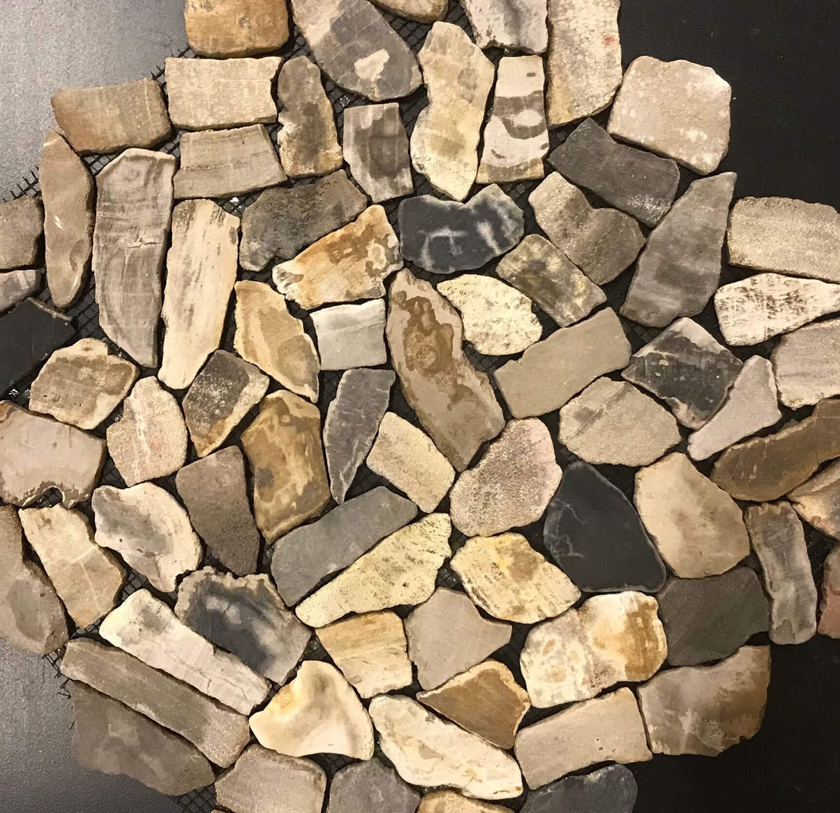 Stone Fossiel Wood
